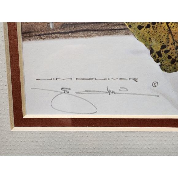 Jim Oliver Raccoon 1984 Signed Embossed Lithograph Framed Wildlife Art Print - Picture 6 of 11